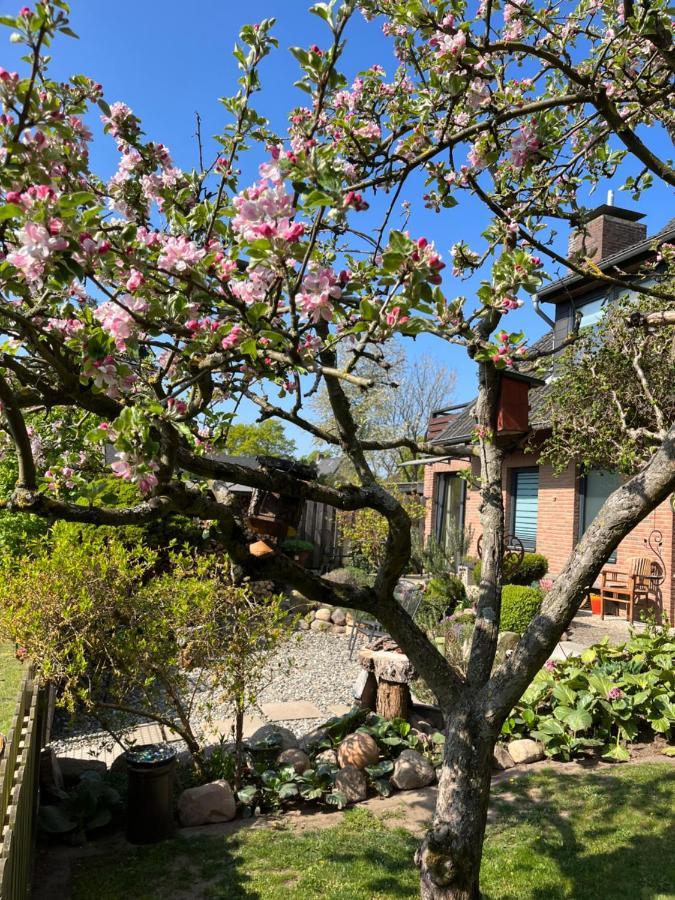 Elb Nest Gaestehaus Neu Darchau Εξωτερικό φωτογραφία