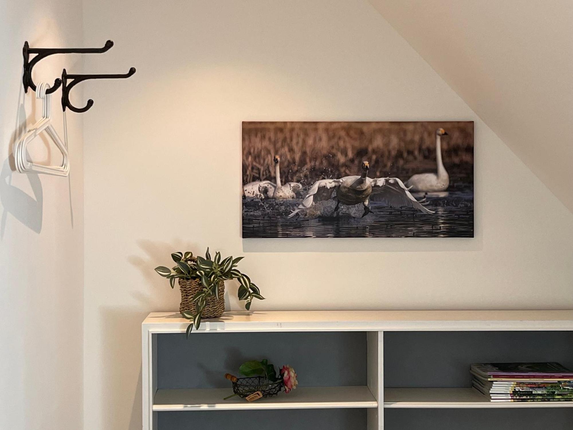 Elb Nest Gaestehaus Neu Darchau Εξωτερικό φωτογραφία