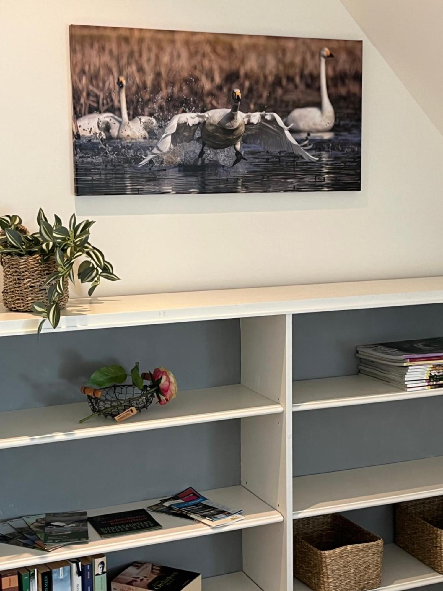 Elb Nest Gaestehaus Neu Darchau Εξωτερικό φωτογραφία